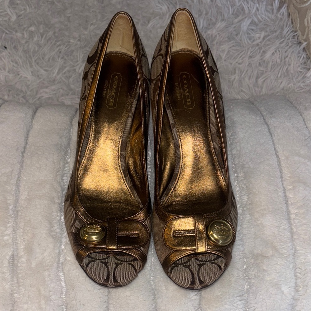 Coach Brown Elegant Heels